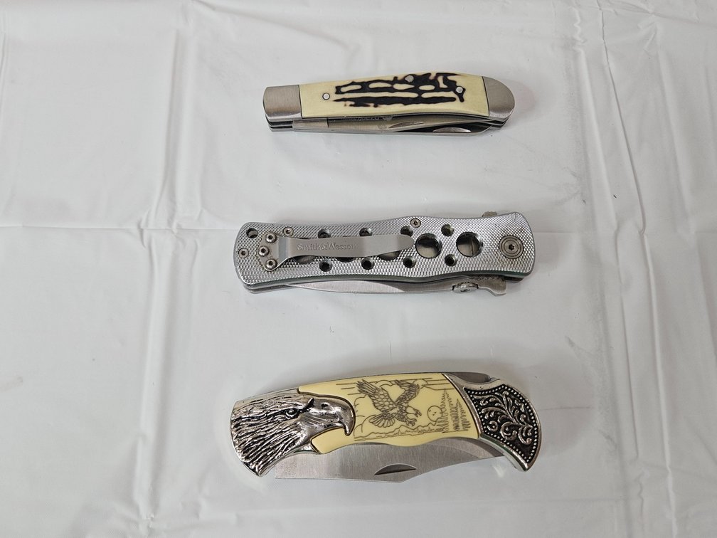 Folding Pocket Knife (3)