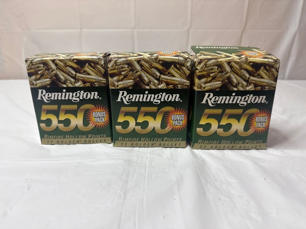 .22cal 36 Grain Remington Hollow Point ammo