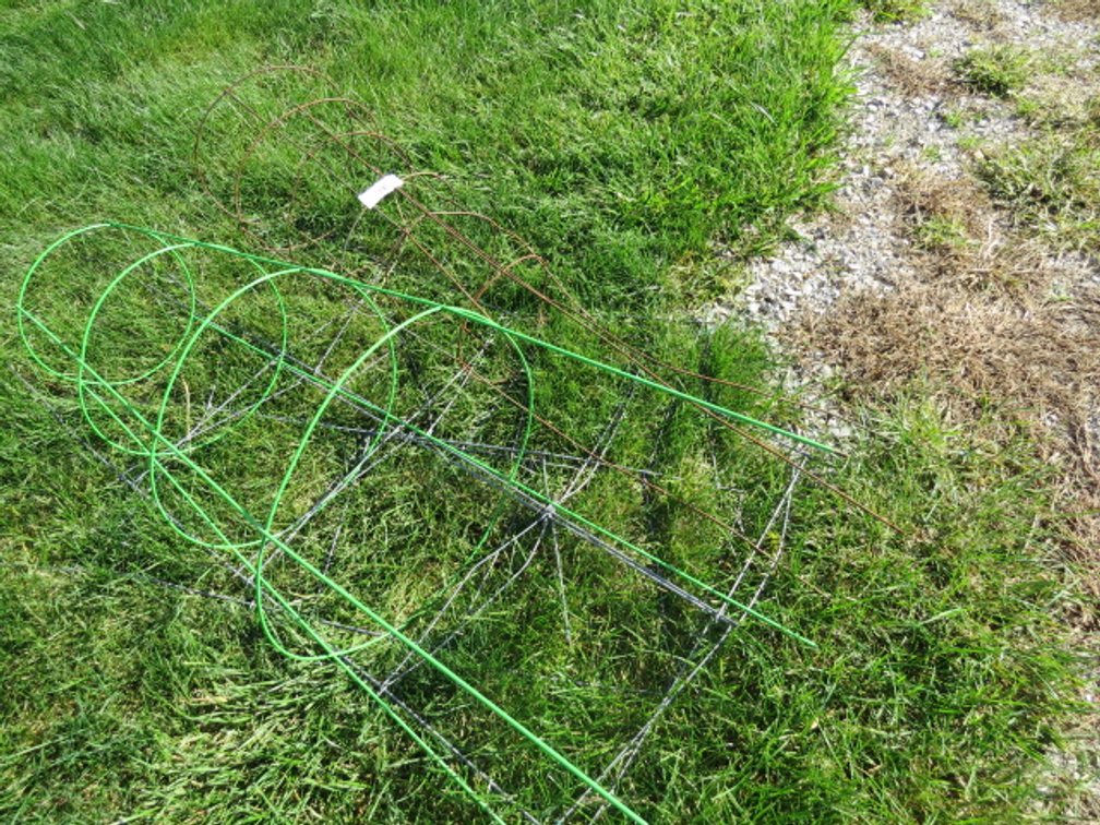 Tomato cages