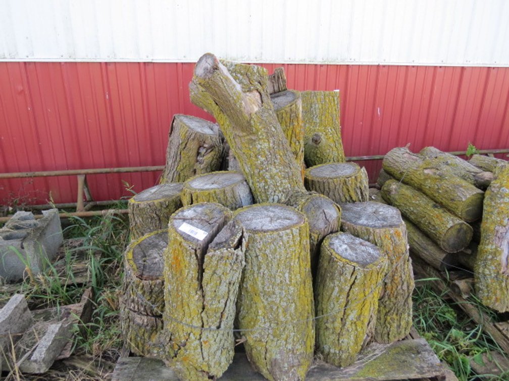Pallet full of firewood