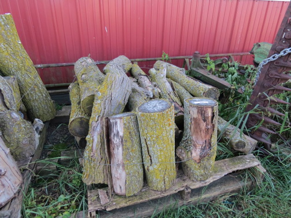 Pallet full of firewood