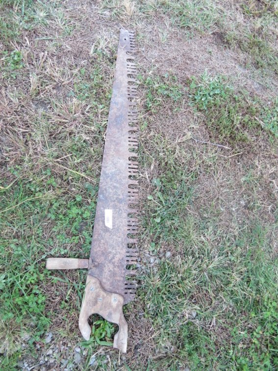 Vintage one-man logging cross-cut saw