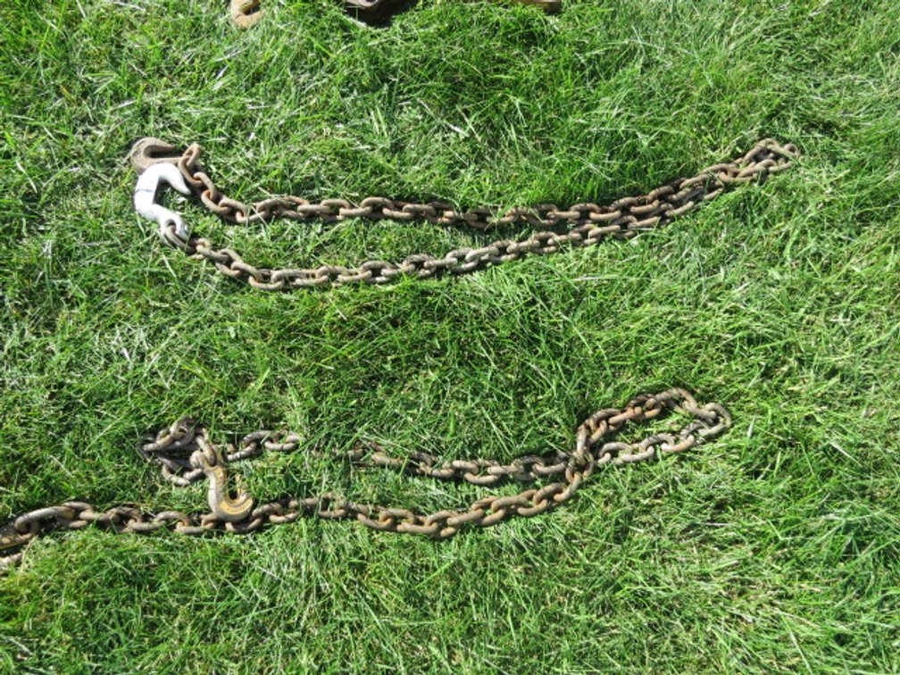 Large log chains