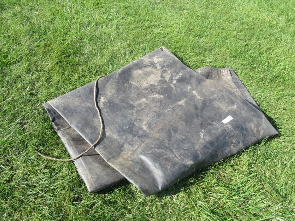 Tarp