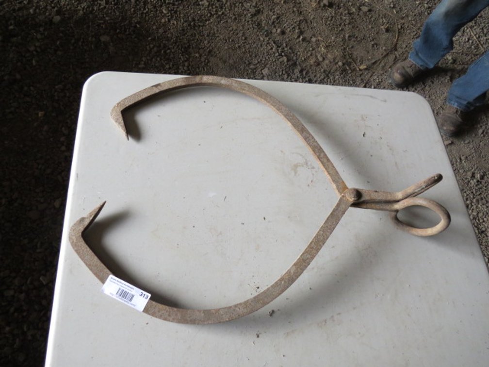 Vintage Ice Tongs