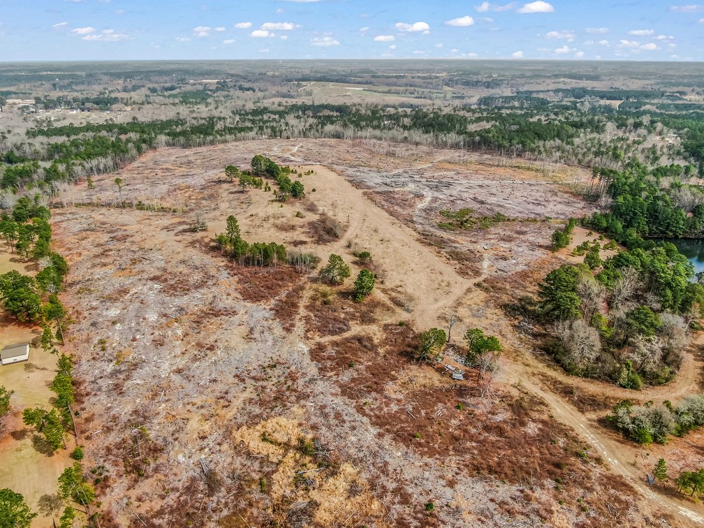 Auction for 119 + - Acres Carthage, NC  Moore County