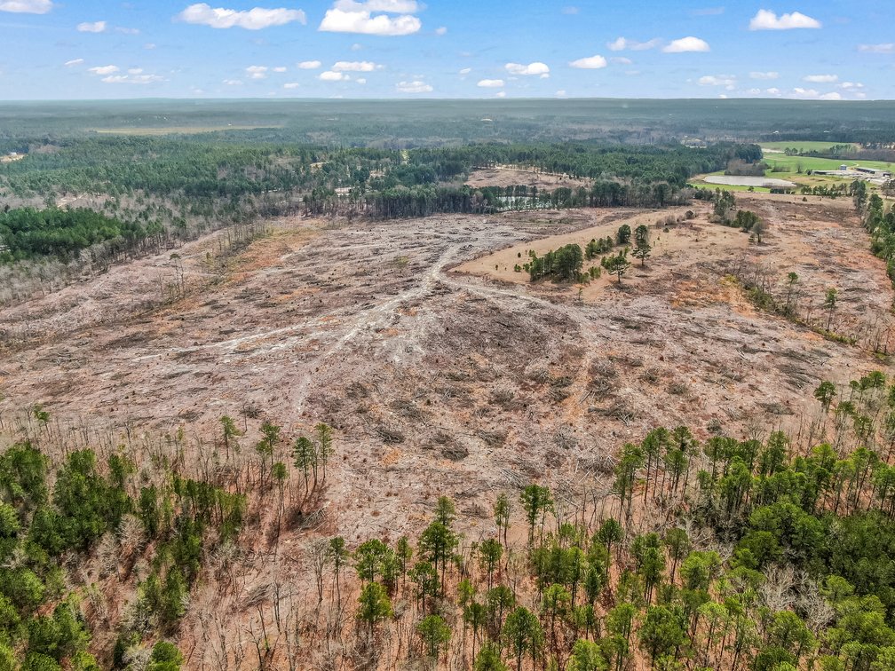 Auction for 119 + - Acres Carthage, NC  Moore County