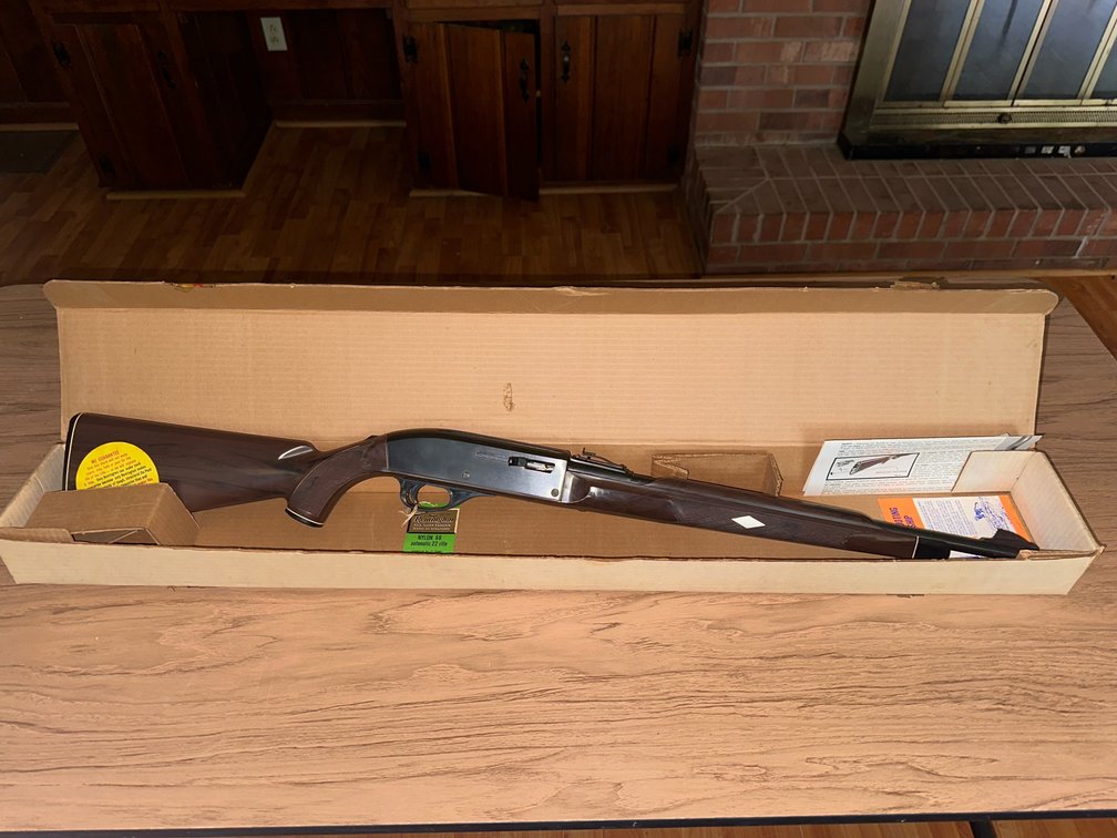 Remington Nylon 66 .22 Rifle 