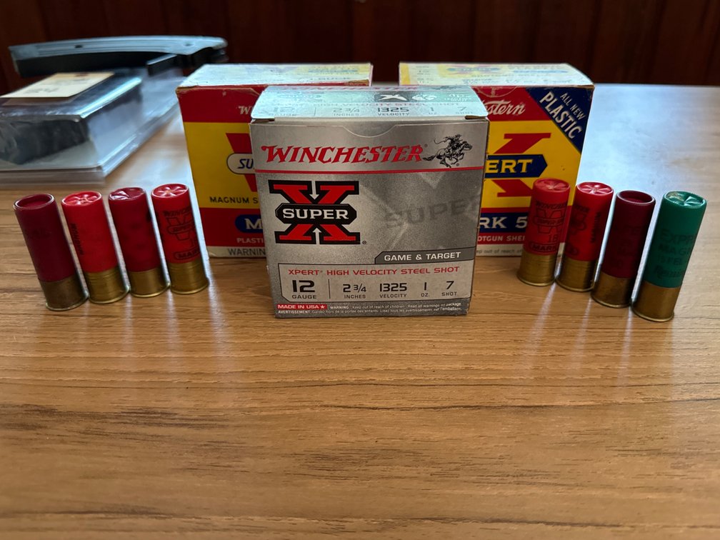 Winchester Shotgun Shells