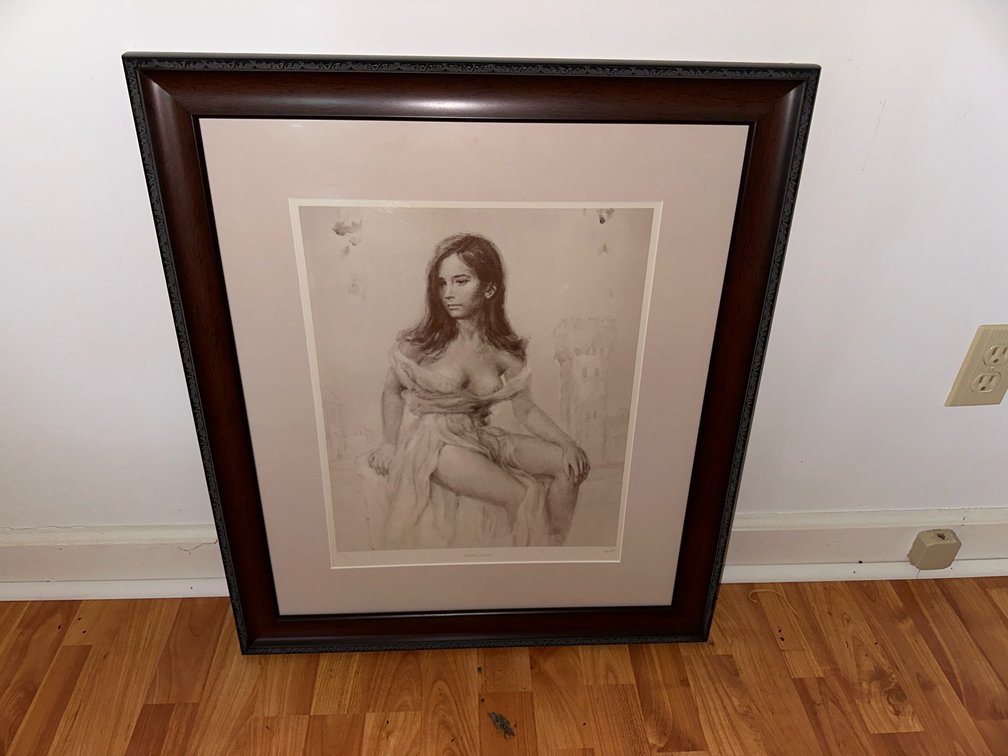 Framed Picture