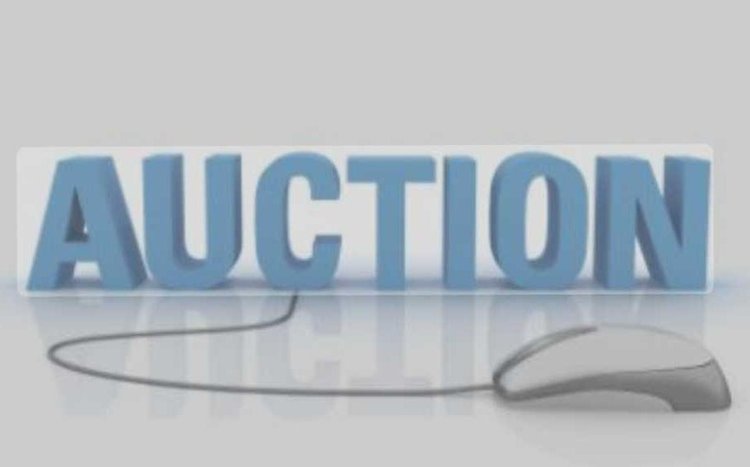 Image for Estate of the Late Donald R & Carol A Woodard Auction