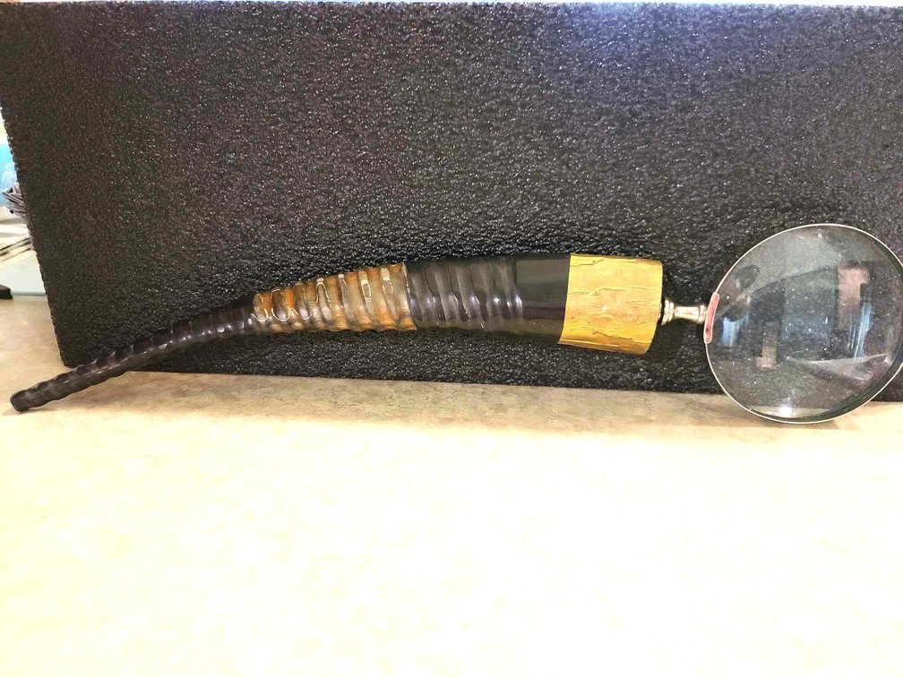 Magnifying Glass w/Horn Look Handle