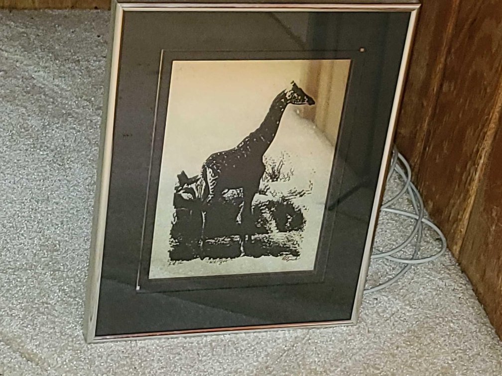 NC Zoo Print S/N by Lisa Lynch