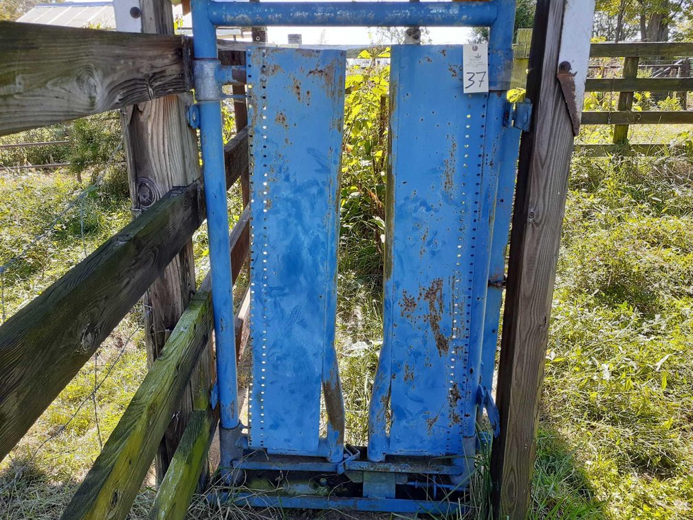 Cattle Head Gate