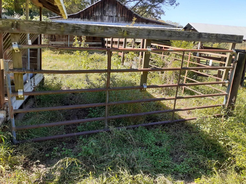 Livestock Gate