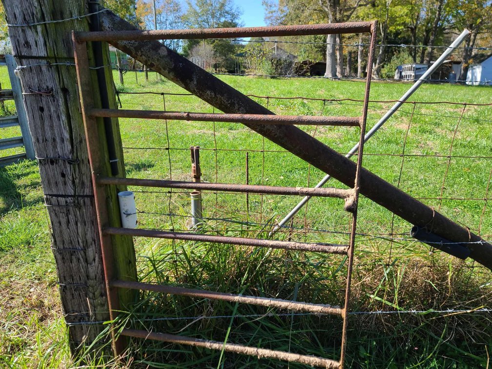 Walk Through Gate
