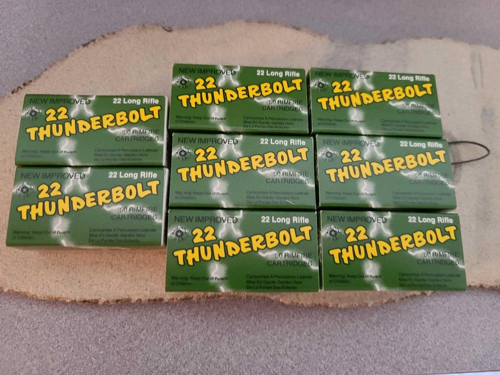 Remington 22 Thunderbolt Cartridges
