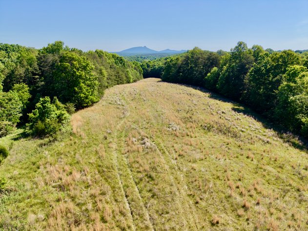 Image for JUDICIAL AUCTION - 14.9 +/- Acres and Home with Pilot Mountain Views in Boonville, NC