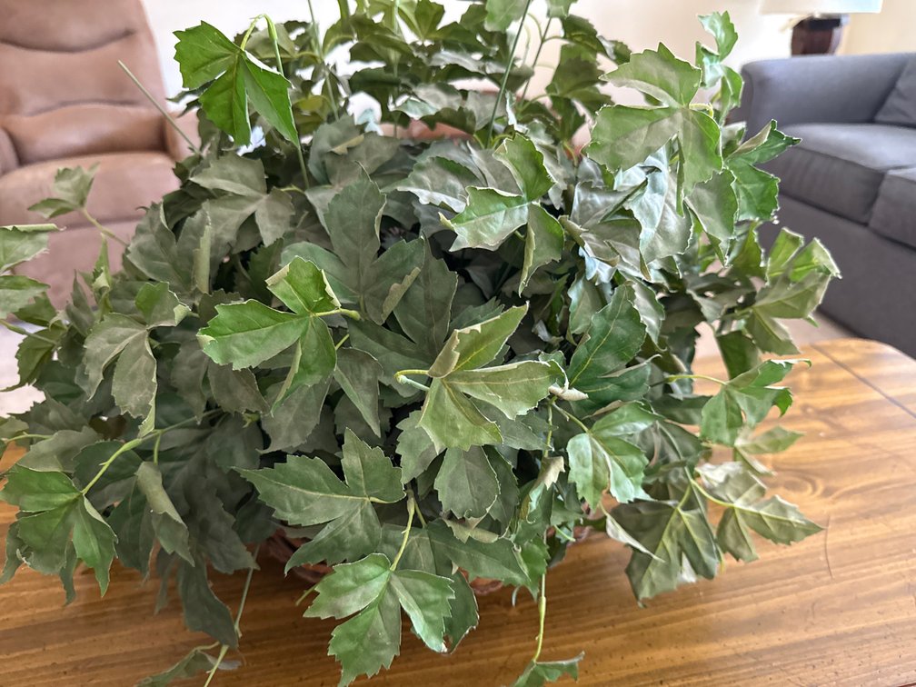 Artificial Ivy Plant in Woven Wicker Basket