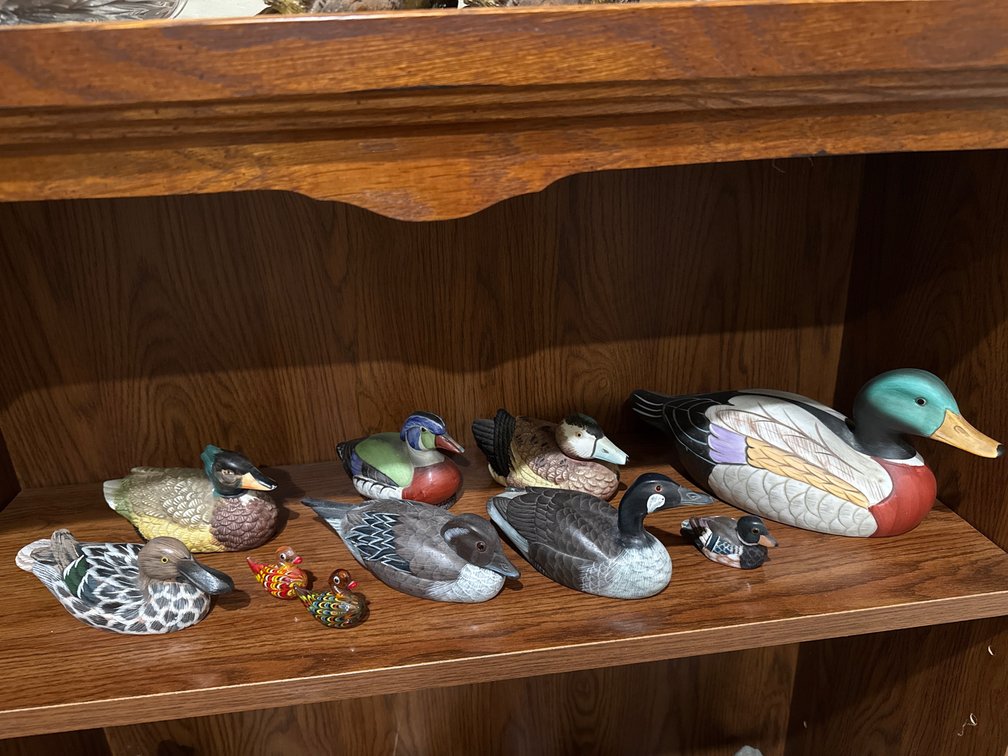 Decorative Waterfowl and Duck Figurines