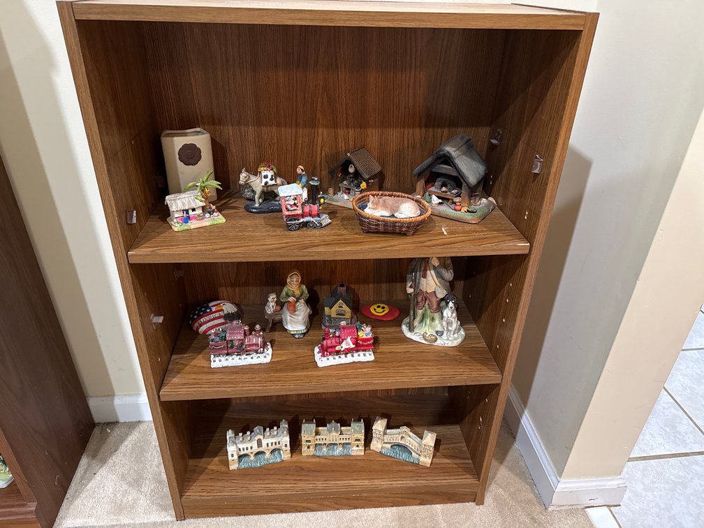 Bookshelf With Contents