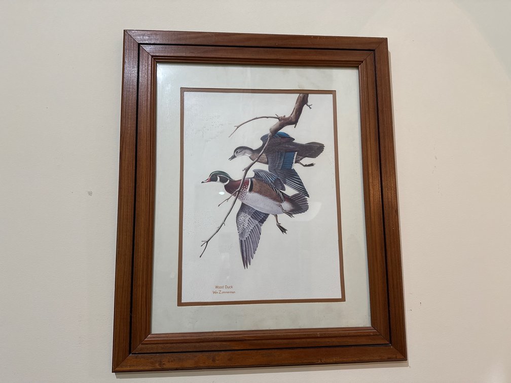 Wm Zimmerman Framed Wood Duck Prints and More