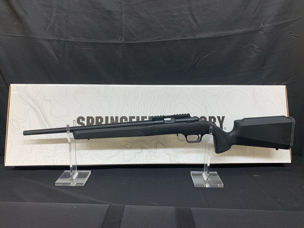 Springfield .22