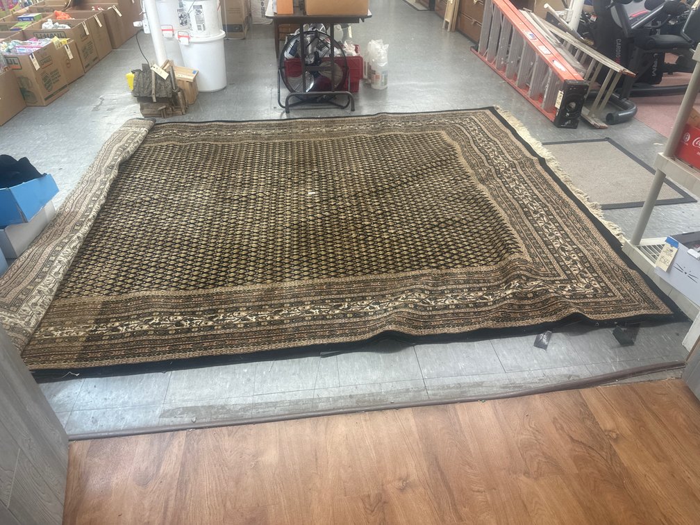 August Showcase Auction