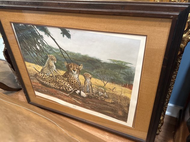 Image for Framed Cheetah Fine Art Prints