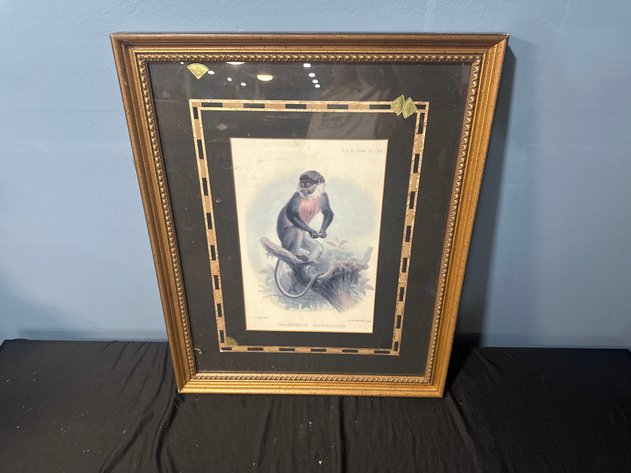 Image for Framed Animal Artworks
