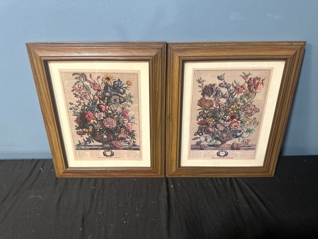 Image for Framed Robert Furber Botanical Prints