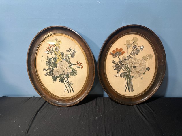 Image for Antique Vilquin Oval Botanical Prints