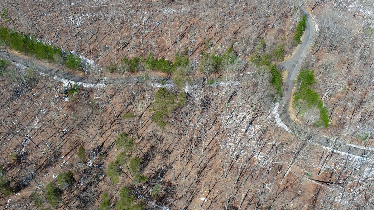 Springs at High Rock - 1.68± Acre Building Lot – Denton, NC