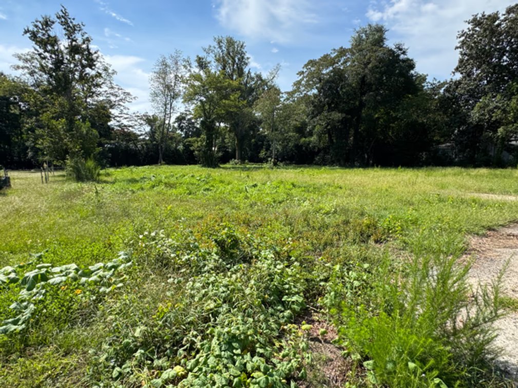 Bishopville, SC Buildable Lots