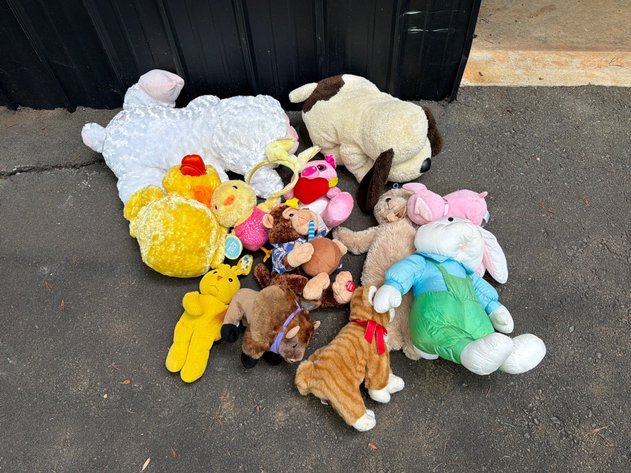 Image for Plush Toys