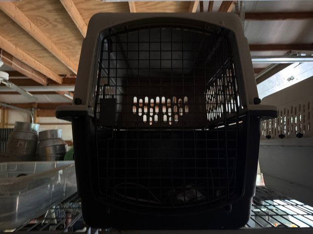 Image for 32-Inch Plastic Pet Kennel