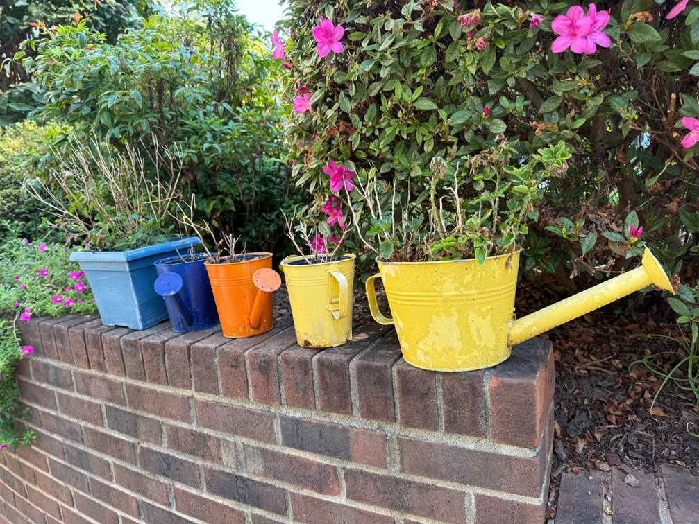 Assorted Garden Planters