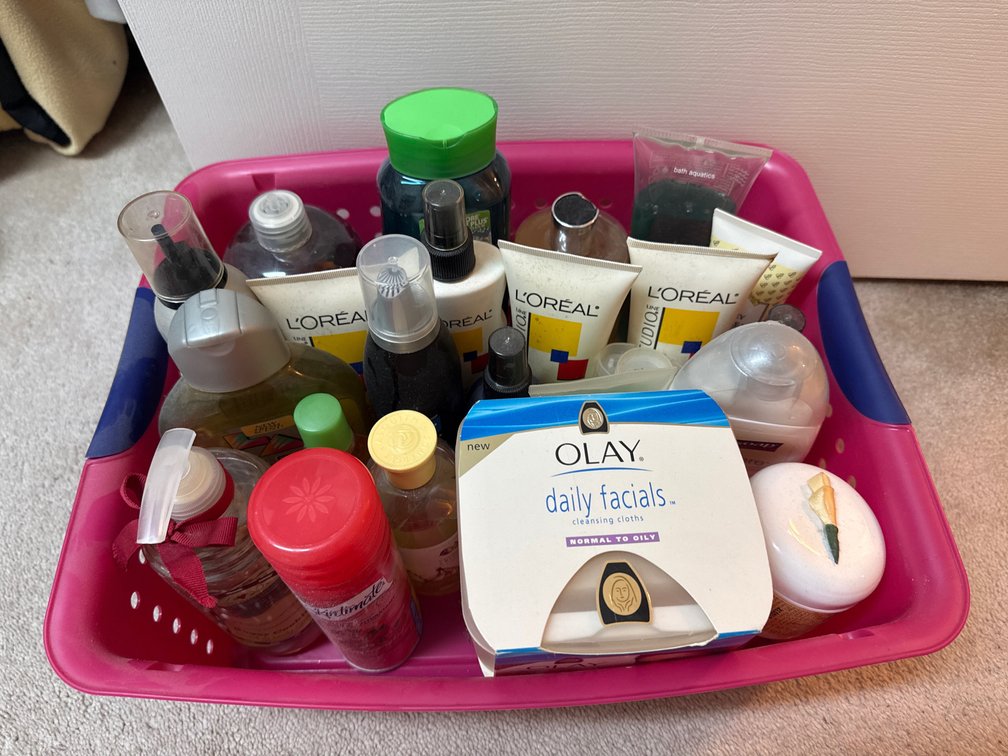 Personal Care & Hair Styling Products Lot
