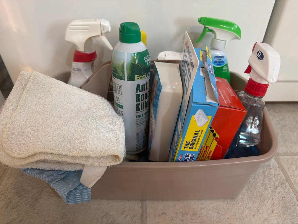 Assorted Household Cleaning Supplies in Utility Caddy
