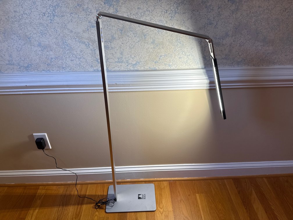 Bright Reach Articulated LED Floor Lamp