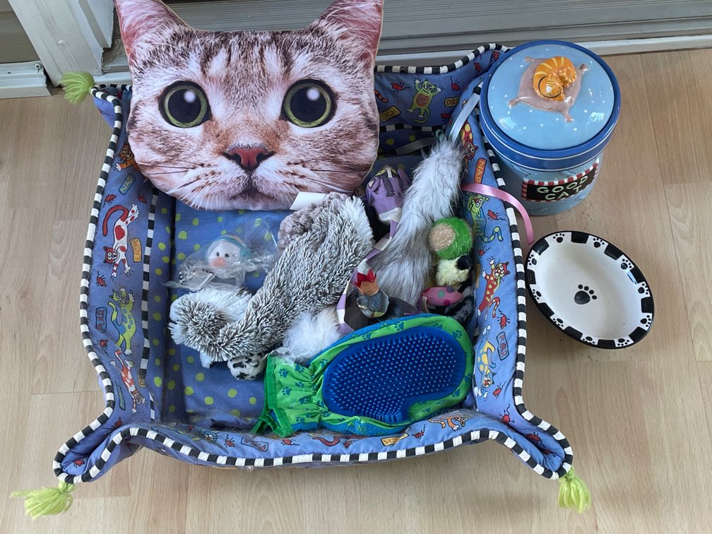 Mixed Feline Accessories & Ceramic Pet Ware Lot