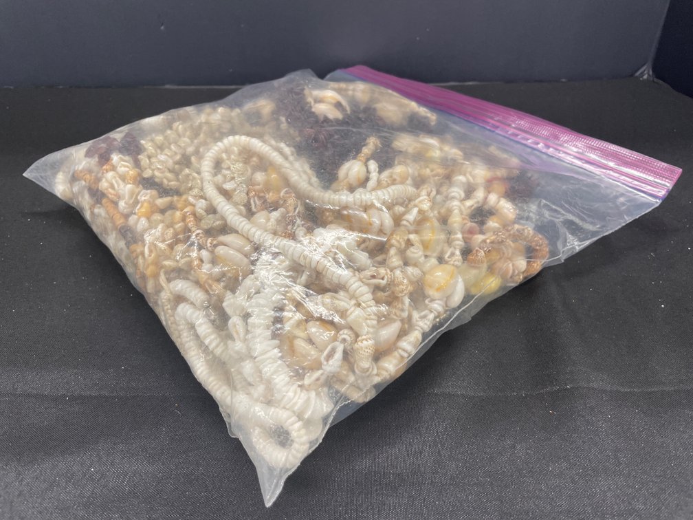 Assorted Shell and Seed Necklaces