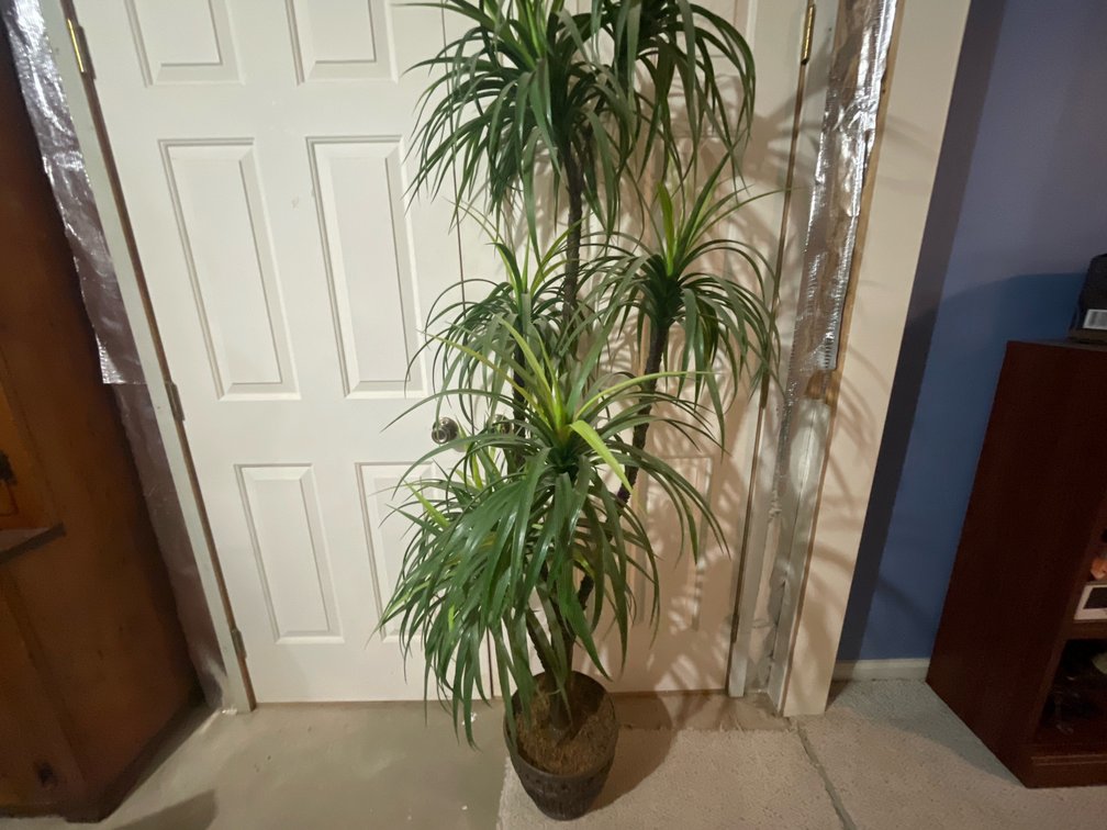 Artificial Multi-Stem Palm Tree in Decorative Planter