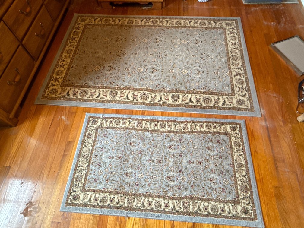 Safavieh Lyndhurst Polypropylene Area Rugs