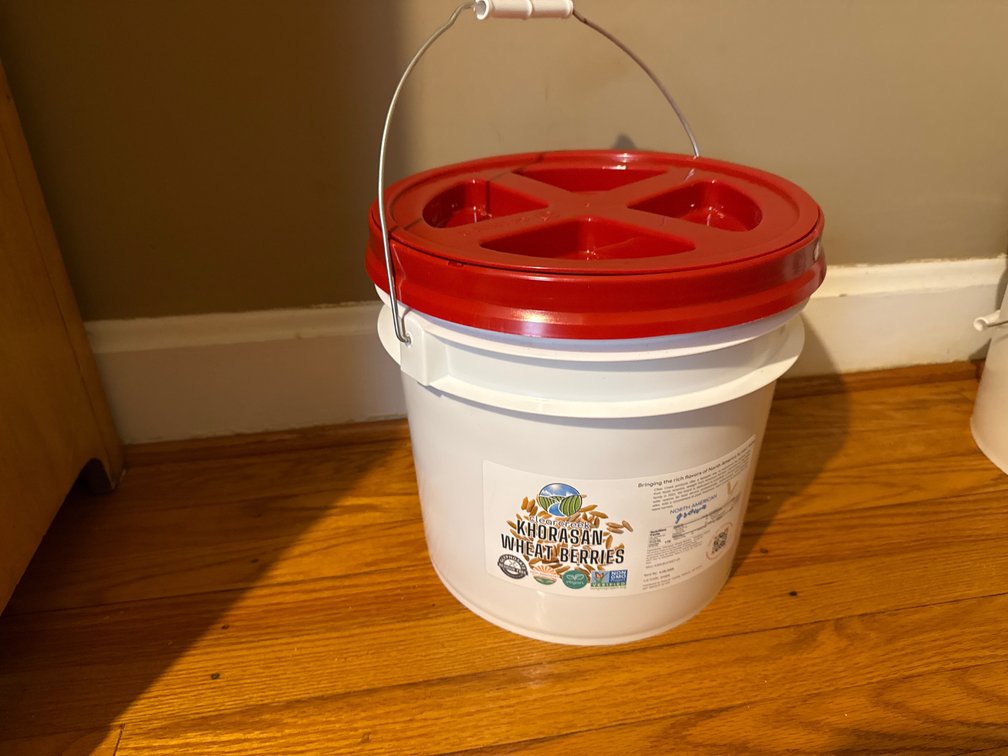 Clear Creek Khorasan Wheat Berries 25 lb Bucket