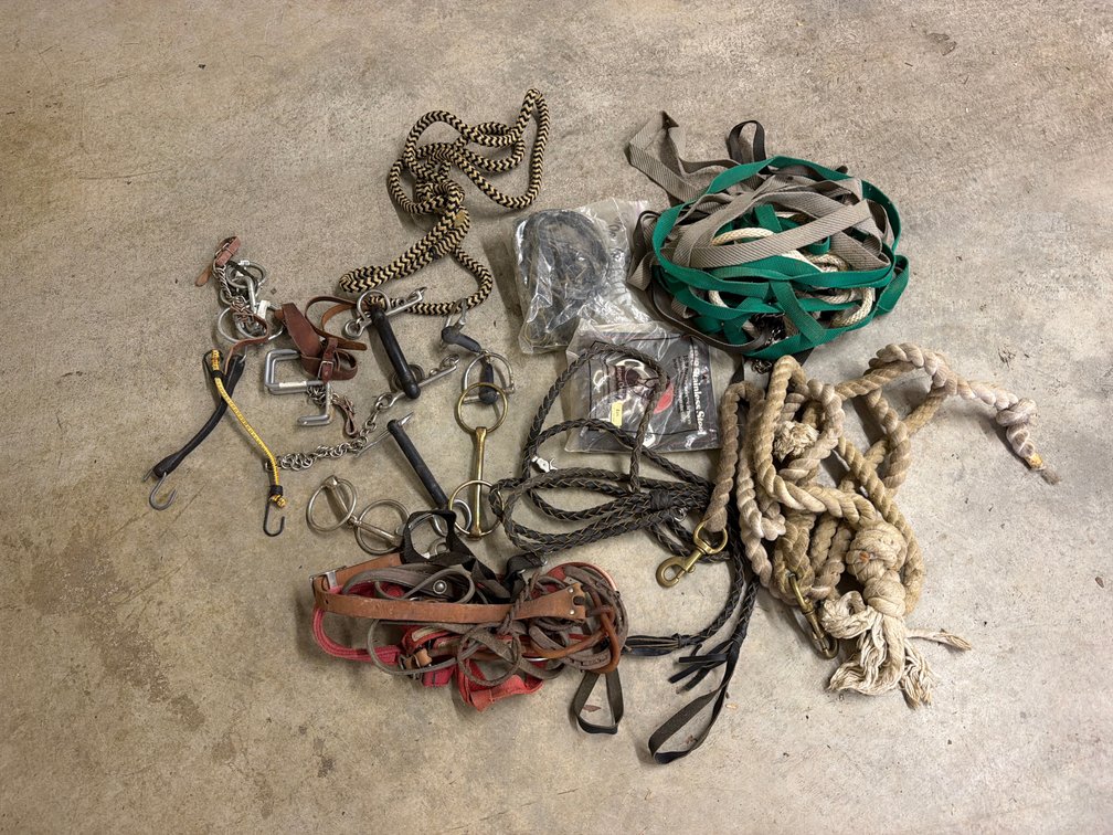Horse Bits, Lead Ropes, Reins, and Equestrian Tack