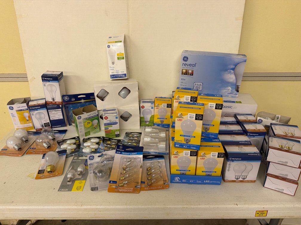 Incandescent and LED Household Light Bulbs