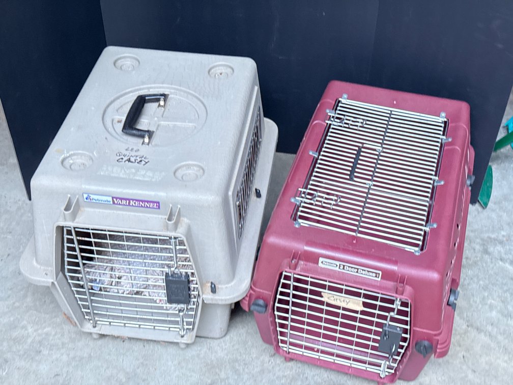 Petmate Carrier