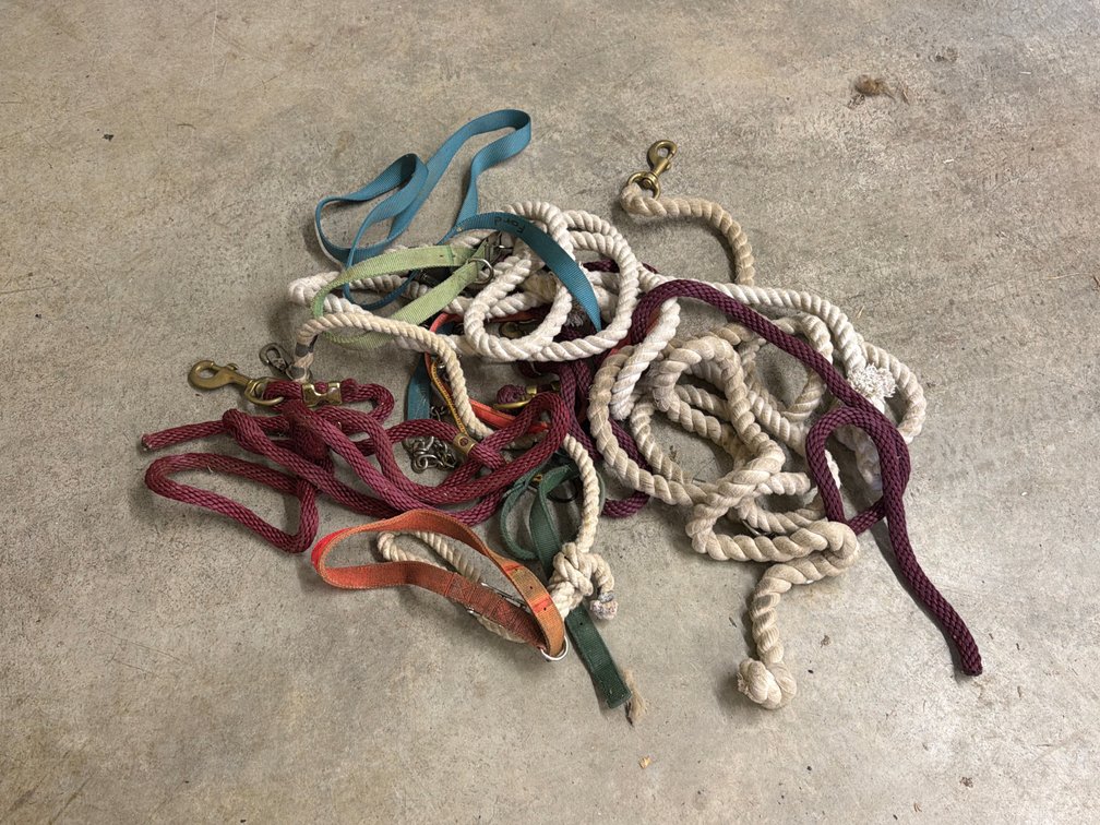 Cotton Lead Ropes, Braided Leads, and Nylon Webbing Straps