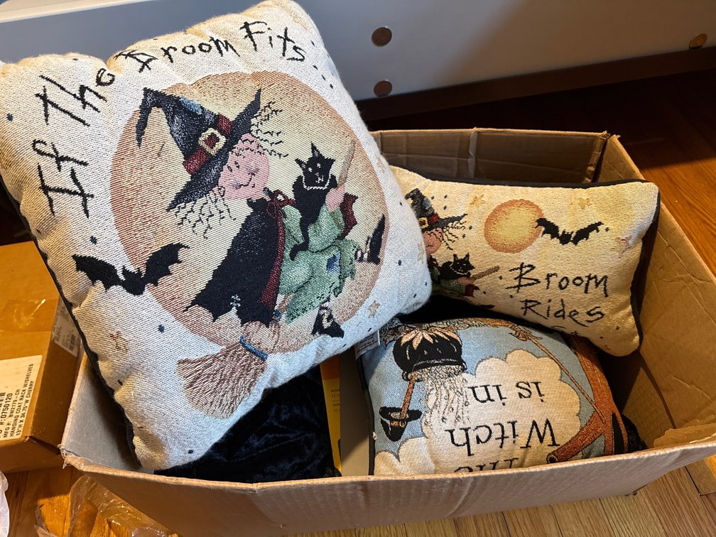 Halloween Tapestry Pillows and Crushed Velvet Capes